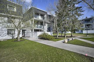 Photo 1: 1109 3115 51 Street SW in Calgary: Glenbrook Apartment for sale : MLS®# A2129011