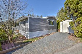 Photo 18: 31 2035 MARTENS Street in Abbotsford: Poplar Manufactured Home for sale in "Maplewood Estates" : MLS®# R2344599