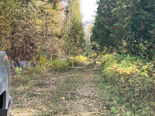 Photo 3: DL3592 & DL4084 1020 Forest Service Road in Seymour Arm: syemour arm Land Only for sale (shuswap)  : MLS®# 10241424