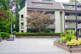 Photo 1: 302 1210 PACIFIC Street in Coquitlam: North Coquitlam Condo for sale in "Glenview Manor" : MLS®# R2286235