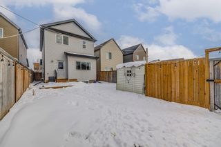 Photo 35: 422 Copperpond Boulevard SE in Calgary: Copperfield Detached for sale : MLS®# A2012597
