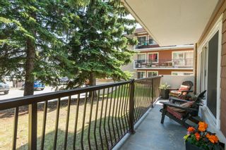Photo 15: #86E 231 HERITAGE Drive SE in Calgary: Acadia Apartment for sale : MLS®# A1019097