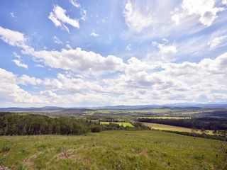 Photo 8: Quarter section Parkins Road: Rural Foothills County Residential Land for sale : MLS®# A2144805