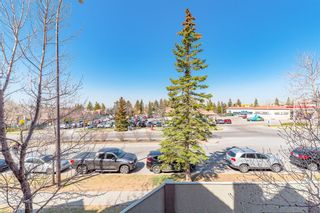 Photo 18: # 3123 Edenwold Heights NW in Calgary: Edgemont Apartment for sale : MLS®# A2045214