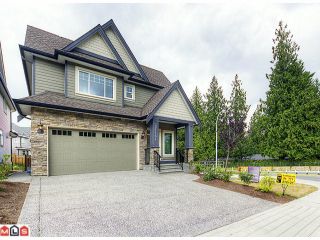 Photo 1: 21181 77A Avenue in Langley: Willoughby Heights House for sale in "YORKSON CREEK" : MLS®# F1219250
