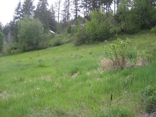Photo 6: 2481 Squilax Anglemont Road # 2 in Lee Creek: Land Only for sale : MLS®# 10009047