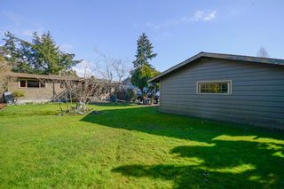 Photo 25: 4579 60B Street in Delta: Holly House for sale (Ladner)  : MLS®# R2551566