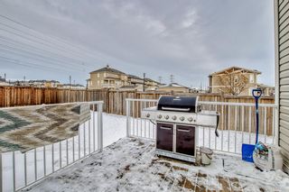 Photo 39: 201 RAINBOW FALLS Glen: Chestermere Detached for sale : MLS®# A2018927