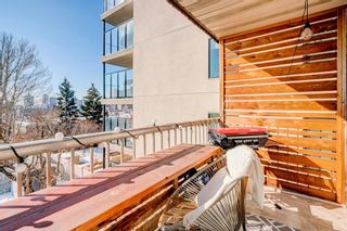 Photo 26: 303 607 7 Avenue NE in Calgary: Renfrew Apartment for sale : MLS®# A2033863