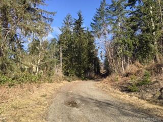 Photo 19: 450 Coal Harbour Rd in Coal Harbour: NI Port Hardy Land for sale (North Island)  : MLS®# 943576