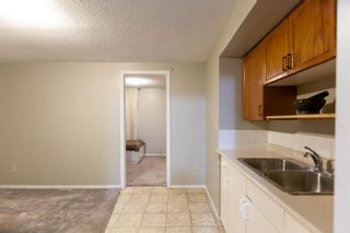 Photo 20: 1028 Woodview Crescent SW in Calgary: Woodlands Detached for sale : MLS®# A1228810