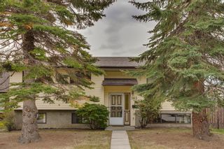 Photo 32: 363 Norseman Road NW in Calgary: North Haven Upper Detached for sale : MLS®# A2012199