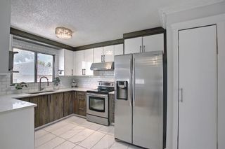 Photo 5: 3403 48 Street NE in Calgary: Whitehorn Detached for sale : MLS®# A1142698