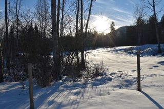 Photo 4: Lot 1 FREELAND AVENUE in Smithers: Smithers - Rural Land for sale (Smithers And Area (Zone 54))  : MLS®# R2645316