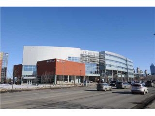 Photo 13: Downtown in EDMONTON: Zone 12 Condo for sale (Edmonton)  : MLS®# E3337676