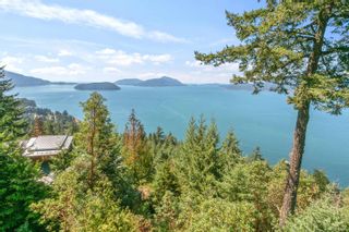 Photo 30: 150 MOUNTAIN Drive: Lions Bay House for sale (West Vancouver)  : MLS®# R2864018