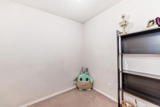 Photo 33: 2207 2600 66 Street NE in Calgary: Pineridge Apartment for sale : MLS®# A2145020