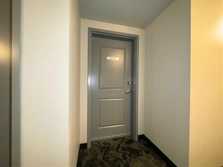Photo 10: 3413 1255 Leila Avenue in Winnipeg: Amber Trails Condominium for sale (4F)  : MLS®# 202328521