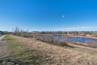 Photo 46: 10 Cranridge Heights SE in Calgary: Cranston Detached for sale : MLS®# A1213193