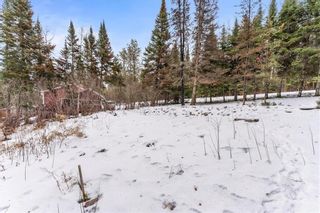 Photo 17: 9 Block 3 Road in Nopiming Provincial Park: Bird Lake Residential for sale (R28)  : MLS®# 202402300