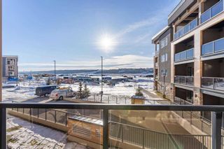 Photo 26: 207 55 Wolf Hollow Crescent SE in Calgary: C-281 Apartment for sale : MLS®# A2098847