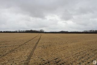 Photo 2: Hwy 44 Hwy 633: Rural Sturgeon County Vacant Lot/Land for sale : MLS®# E4319225