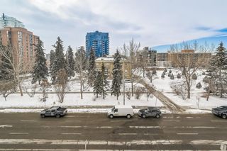 Photo 27: 408 310 12 Avenue SW in Calgary: Beltline Apartment for sale : MLS®# A2032257