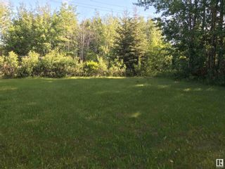 Photo 7: 51 662066 Range Road 181: Rural Athabasca County Rural Land/Vacant Lot for sale : MLS®# E4299538
