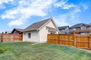 Photo 24: 1250 Coopers Drive SW: Airdrie Detached for sale : MLS®# A2122216