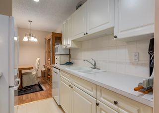 Photo 5: 208 816 89 Avenue SW in Calgary: Haysboro Apartment for sale : MLS®# A2013027