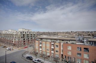 Photo 16: 615 88 9 Street NE in Calgary: Bridgeland/Riverside Apartment for sale : MLS®# A2022241