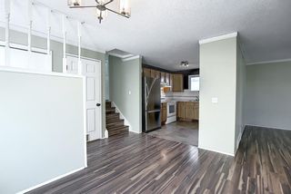 Photo 12: 4603 43 Street NE in Calgary: Whitehorn Detached for sale : MLS®# A1031744