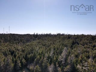 Photo 5: Lot 2 Highway 217 in Tiverton: Digby County Vacant Land for sale (Annapolis Valley)  : MLS®# 202209429