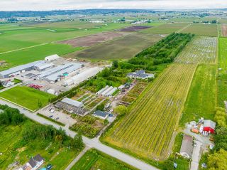Photo 8:  in Surrey: Serpentine Agri-Business for sale (Cloverdale)  : MLS®# C8047789