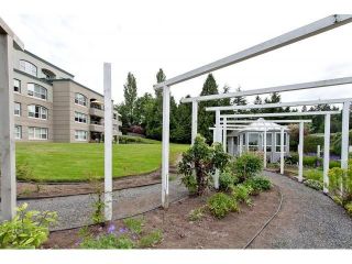 Photo 20: # 402 1725 128TH ST in Surrey: Crescent Bch Ocean Pk. Condo for sale (South Surrey White Rock)  : MLS®# F1441077