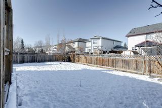 Photo 37: 140 West Creek Pond: Chestermere Detached for sale : MLS®# A1071889