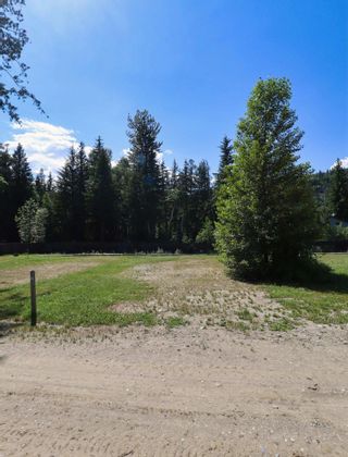 Photo 3: Site 3 1701  Ireland Road in Seymour Arm: Recreational for sale : MLS®# 10310478