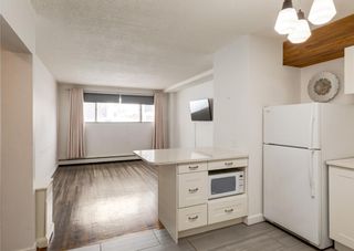 Photo 8: 101 807 48 Avenue SW in Calgary: Britannia Apartment for sale : MLS®# A1191368