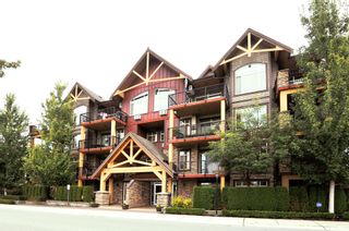 Photo 1: 116-207A St in Langley: Willoughby Heights Condo for sale : MLS®# R2313770