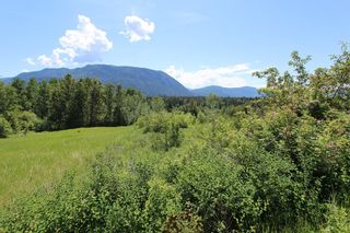 Photo 9: 37 2481 Squilax Anglemont Road in Lee Creek: North Shuswap Land Only for sale (Shuswap)  : MLS®# 10094382