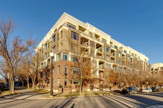Photo 1: 117 910 Centre Avenue NE in Calgary: Bridgeland/Riverside Apartment for sale : MLS®# A2012923