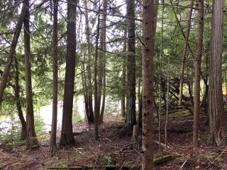 Photo 11: 3,4,6 Armstrong Road in Eagle Bay: Vacant Land for sale : MLS®# 10133907