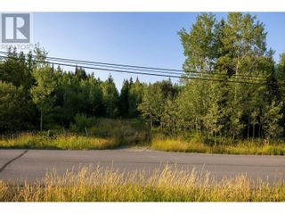 Photo 1: 1909 GUNN ROAD in Prince George: Vacant Land for sale : MLS®# C8046062