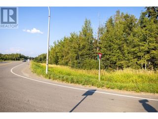 Photo 2: 5454 E 16 HIGHWAY in PG Rural East: Agriculture for sale : MLS®# C8054291