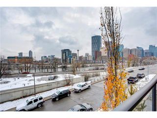 Photo 24: 302 414 MEREDITH Road NE in Calgary: Crescent Heights Condo for sale : MLS®# C4039289