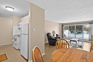 Photo 10: 504 8948 Elbow Drive SW in Calgary: Haysboro Apartment for sale : MLS®# A1206745