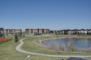 Photo 27: 405 Taralake Landing NE in Calgary: Taradale Detached for sale : MLS®# A2046907