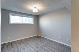 Photo 29: 3812 49 Street NE in Calgary: Whitehorn Detached for sale : MLS®# A1054455