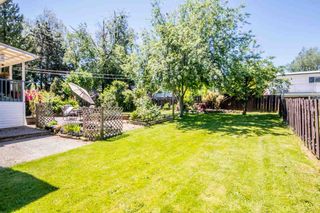 Photo 18: 2155 RIDGEWAY Street in Abbotsford: Abbotsford West House for sale : MLS®# R2168625