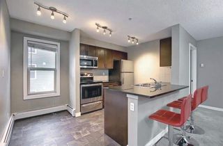 Photo 17: 1214 1317 27 Street SE in Calgary: Albert Park/Radisson Heights Apartment for sale : MLS®# A1176223